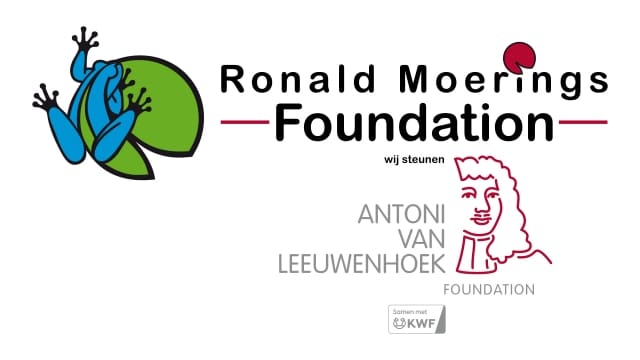 Ronald Moerings Foundation
